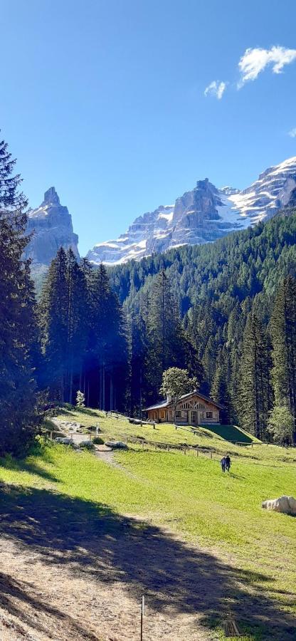 Chalet Brenta Dolomites Madonna Zewnętrze zdjęcie