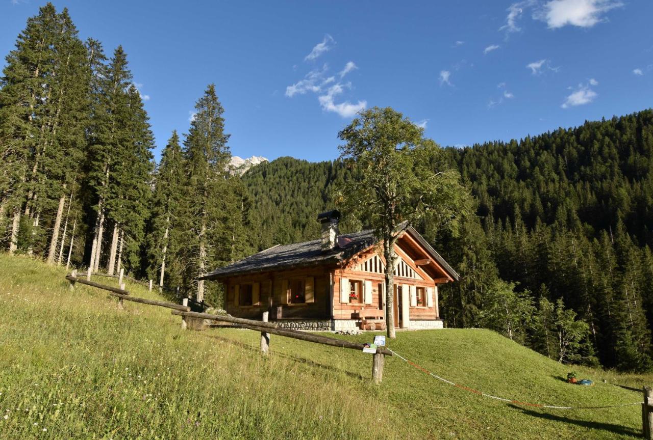 Chalet Brenta Dolomites Madonna Zewnętrze zdjęcie
