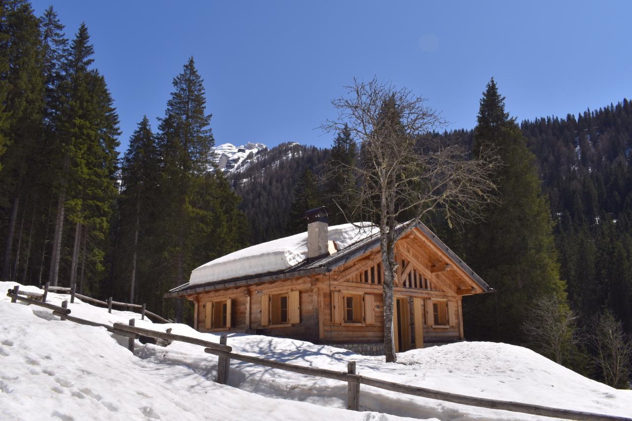 Chalet Brenta Dolomites Madonna Zewnętrze zdjęcie