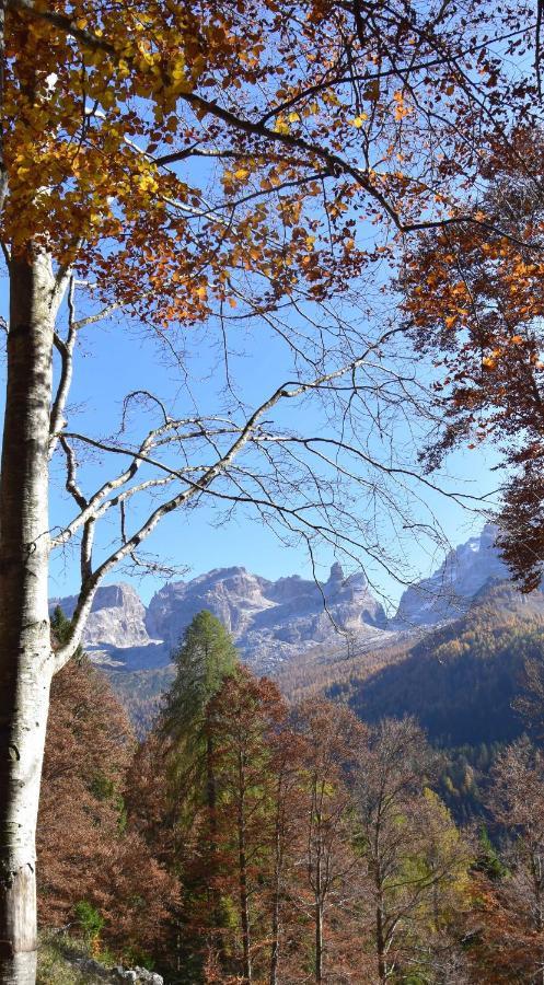 Chalet Brenta Dolomites Madonna Zewnętrze zdjęcie